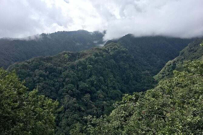 The King's Levada - Levada do Rei - Who Will Love This Tour?