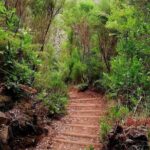 The Lakes Walk - Authentic Experiences and Review Insights