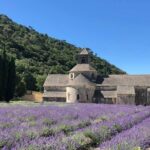 The Lavender tour from marseille or aix en provence - Final Thoughts