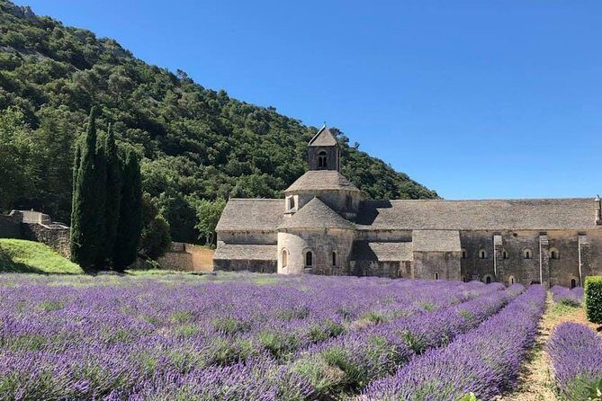 The Lavender tour from marseille or aix en provence - Final Thoughts