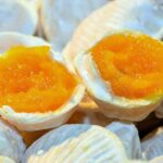 The Little Venice of Portugal: Aveiro Small Group Tour with Typical Boat Ride - Analyzing the Itinerary in Detail