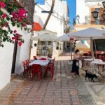 The Magic Coins of Marbella: Outdoor Escape Adventure - Practical Details & Tips