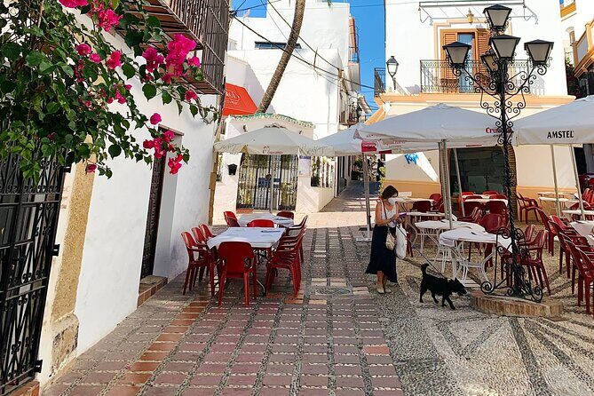 The Magic Coins of Marbella: Outdoor Escape Adventure - Practical Details & Tips