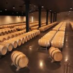 The Médoc in a sidecar, magic! - The Ride: Adventure and Fun in the Vineyards