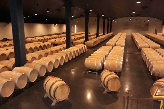 The Médoc in a sidecar, magic! - The Ride: Adventure and Fun in the Vineyards