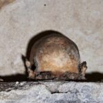 The Mystery of Naples Saga: The Skull with ears - Who Is This Tour Best For?