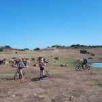 The ring of Mountain Tuttavista with Electric Mountain Bikes - What’s Included and What to Bring