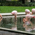 The Secret Milan  An Exclusive Stroll Beyond the Beaten Path - What the Tour Includes & What It Doesn’t