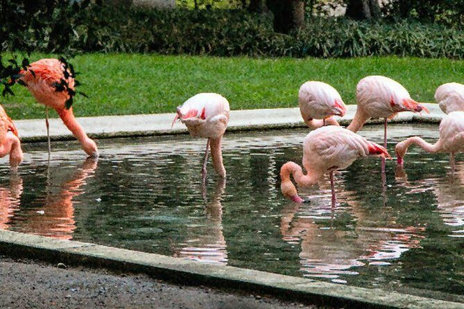 The Secret Milan An Exclusive Stroll Beyond the Beaten Path - What the Tour Includes & What It Doesn’t