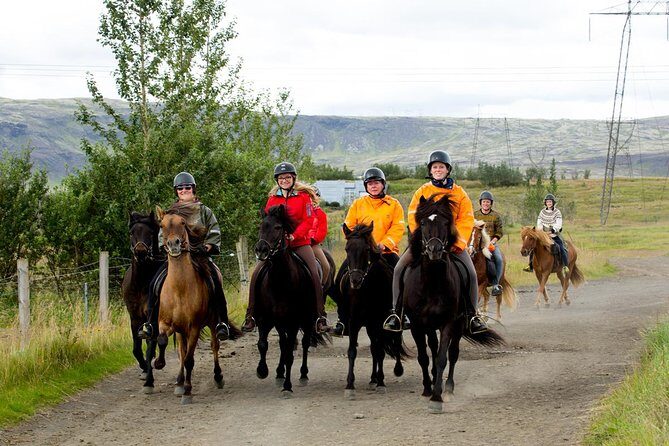 The Siggi Tour from Reykjavík: 1.5 to 2-Hour Ride - The Siggi Tour: An Authentic Icelandic Horseback Experience