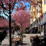 The Södermalm Tour in Stockholm - Final thoughts