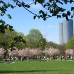 The tour of Riga - one step outside the Old Town - What the Tour Includes and What It Doesnt