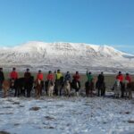 The Viking Horse Riding Experience in North Iceland - Why This Tour Stands Out