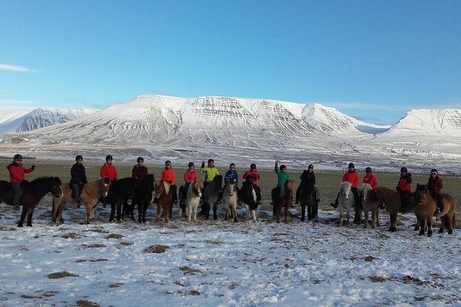 The Viking Horse Riding Experience in North Iceland - Why This Tour Stands Out