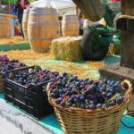 The wine route by bike - What’s Included and What You Should Consider