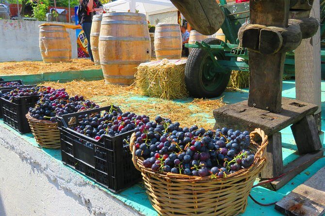 The wine route by bike - What’s Included and What You Should Consider