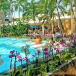 Therme Bucharest Tickets and Water Theme Park - Who Should Consider Visiting Therme Bucharest?