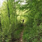 Thessaloniki to Naoussa, Wine Tasting Tour  Private Day Trip - Who Will Love This Experience?