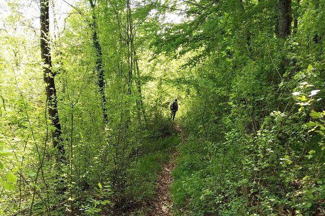 Thessaloniki to Naoussa, Wine Tasting Tour Private Day Trip - Who Will Love This Experience?