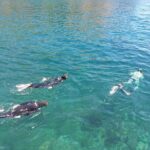 Third Island: Ilhéu das Cabras Boat Tour + Snorkeling - Final Thoughts