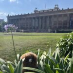 Third Reich Berlin & World War II Private Walking Tour - The Experience: What You Can Expect