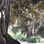 Three Parks Tour | Private Ride by Bike, E-Bike, E-Step or Segway - FAQs