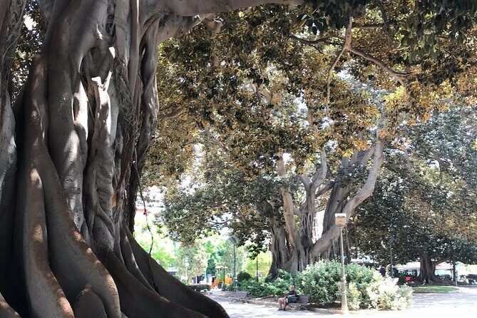 Three Parks Tour | Private Ride by Bike, E-Bike, E-Step or Segway - FAQs