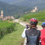 Through Alsace Vineyards and Wine Villages Private Bike Tour - What’s Included and What to Consider