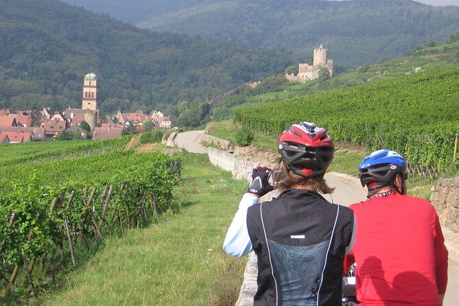 Through Alsace Vineyards and Wine Villages Private Bike Tour - What’s Included and What to Consider
