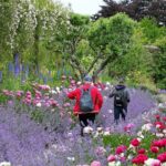Tickets to Explore Ireland's Global Garden - Who Will Love This Tour?