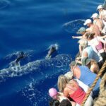 Time Travel on Columbus Replica Flag Ship in Madeira - Who Would Enjoy This Tour?