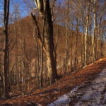 Tirana: Dajti Mountain Half-Day Trip with Cable Car Ticket - Is It Worth the Price?