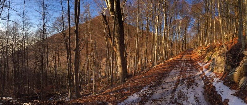 Tirana: Dajti Mountain Half-Day Trip with Cable Car Ticket - Is It Worth the Price?