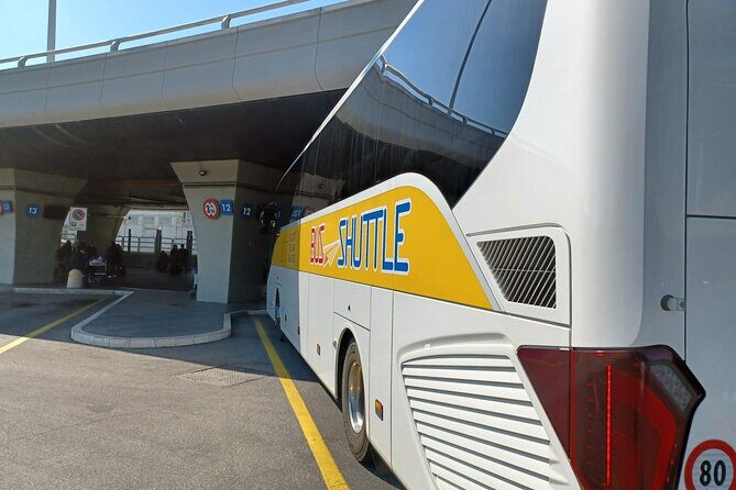 To & From Fiumicino Airport - Rome City Center Shuttle Bus - Who Is This Shuttle Best For?