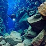 Top-Rated Snorkeling in Silfra & Whale Watching | Self-Drive from Reykjavik - Who Would Enjoy This Tour Most?