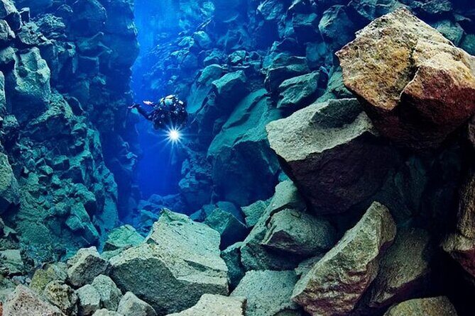 Top-Rated Snorkeling in Silfra & Whale Watching | Self-Drive from Reykjavik - Who Would Enjoy This Tour Most?