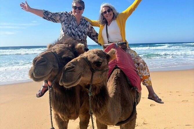 Top VIP Private Tour of Tangier from Estepona All Inclusive - What You’ll Love About This Tour