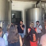TOP WINE TOUR- Vineyard & cellar visit + 6 top wines + tapas - Authenticity and Learning: Guides and Local Touches