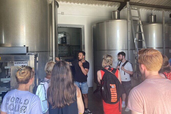 TOP WINE TOUR- Vineyard & cellar visit + 6 top wines + tapas - Authenticity and Learning: Guides and Local Touches