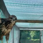 Torre Guaceto EBike Tour - Practical Details and Value