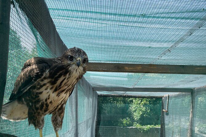 Torre Guaceto EBike Tour - Practical Details and Value