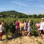 Toulon private Shore Excursion: A taste of Provence - Final Thoughts