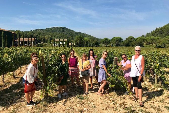 Toulon private Shore Excursion: A taste of Provence - Final Thoughts