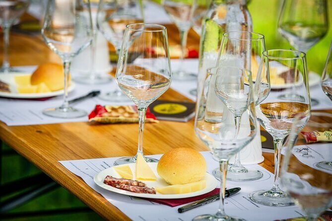 Tour and 3 wines tasting in the Prosecco Hills - Who Will Love This Tour?