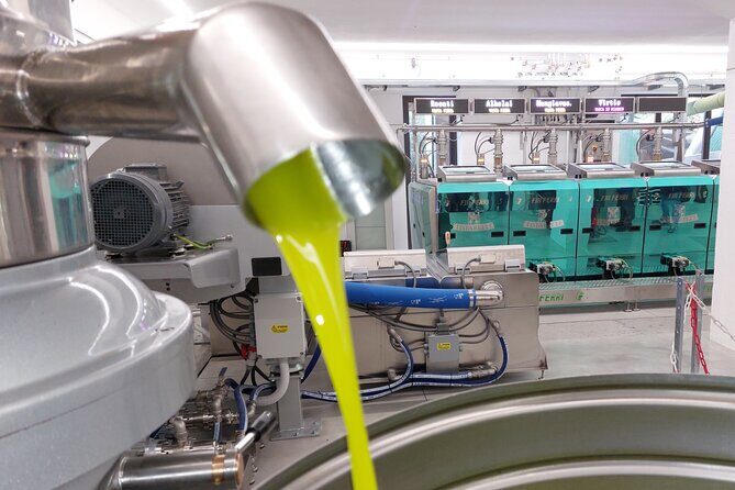 TOUR and TICKETS, VISIT TO THE MILL AND EVO OIL TASTING - Practical Tips for Visitors