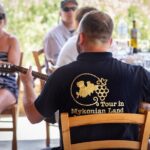 Tour and Wine Tasting in Mykonian Land - Why This Tour Offers Great Value