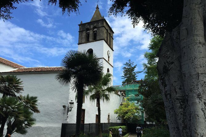 Tour Around the Island - Private VIP Tour in Tenerife - What’s Included and What You Should Budget For