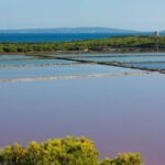 TOUR around the JEWELS of IBIZA SALT BEDS, ES VEDRA, TIME & SPACE - Authentic Insights from Reviewers