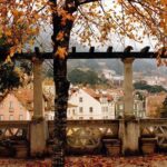 Tour group Sintra : Pena Palace, Regaleira, Cabo DA Roca and Cascais - Who Will Love This Tour?