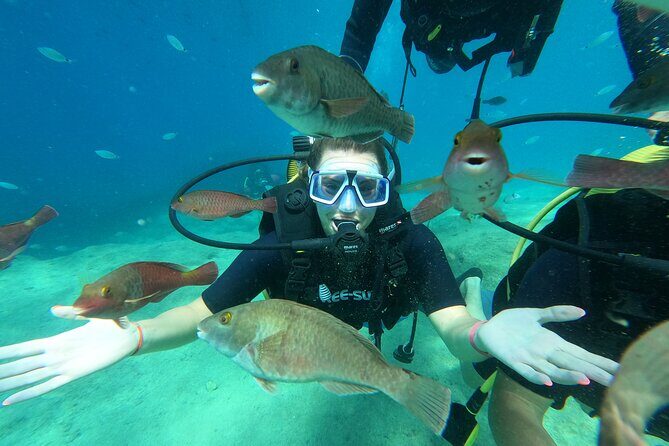 Tour in Alanya with Lunch and Guided Scuba Dives from Side - Who Will Love This Tour?